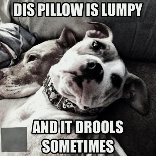 FB_IMG_1738942964762