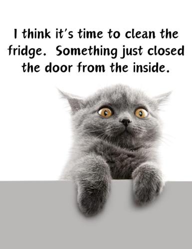 FB_IMG_1739067722179