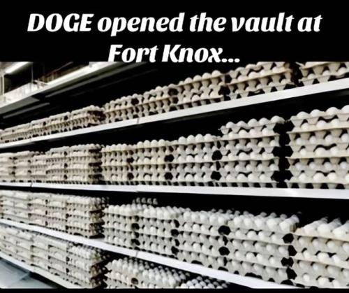 image_A0563B54-5ADD-4DD4-AC1D-17FF260B9F7B