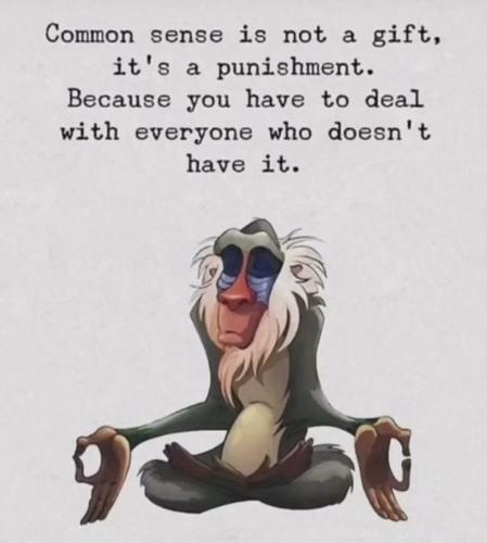 Screenshot_20250213_032923_Instagram