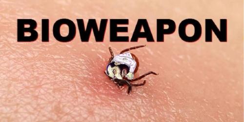 photo_2025-02-17_18-32-06