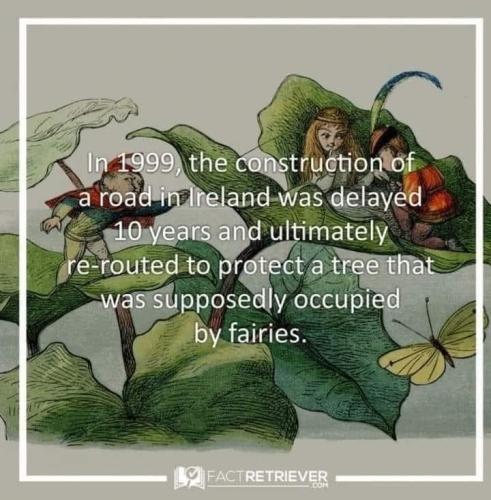 DA828A1F-0F6C-4A60-93A5-2F8C0C186044