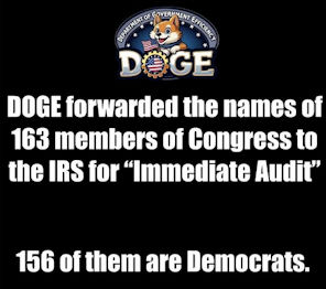 government efficiency34