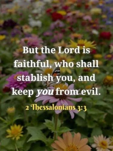 2c221628-d86e-4215-b5bd-1d665bcad248