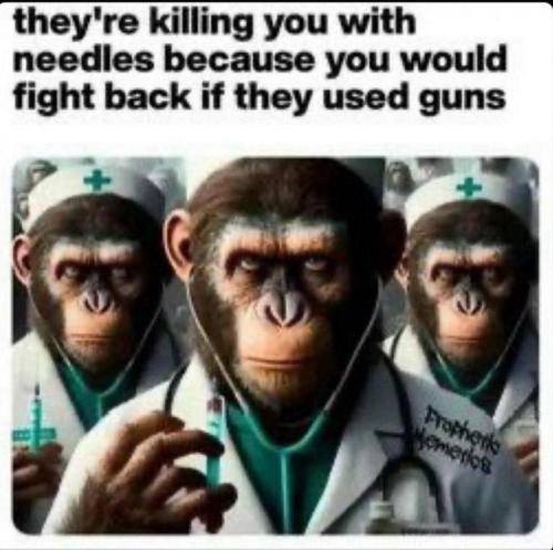 photo_2025-02-16_21-10-33