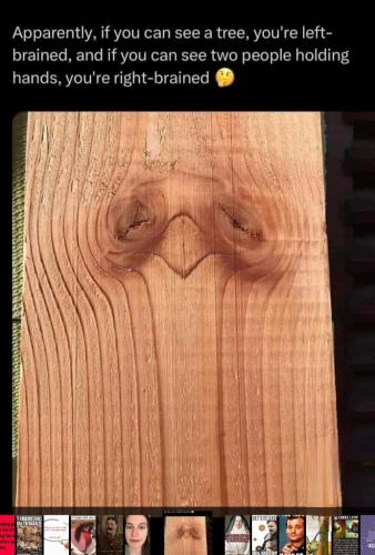 cf16eec6-7754-488e-98fb-99fc4f8b2feb