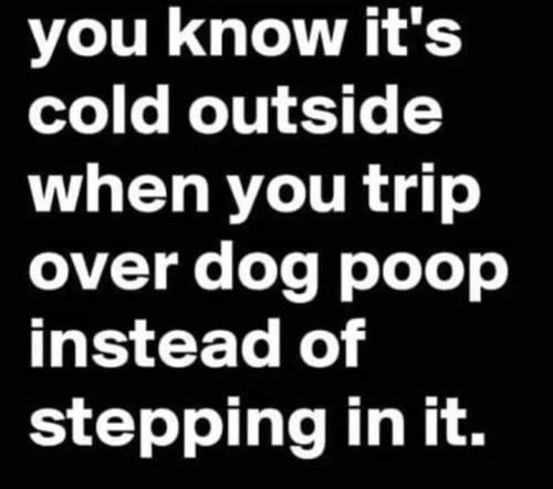 Screenshot_20250210_094451_Gallery