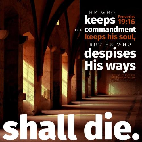 pro-19-16-HBE-unsplash