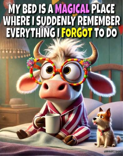 C16B111E-E005-4785-8768-6D118E4A8DD8