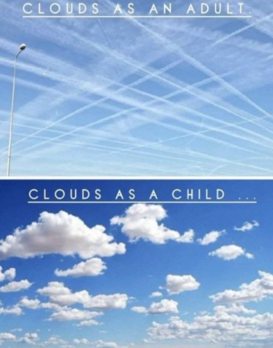 Screenshot_20250228-083147~2