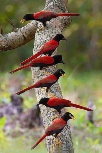 img(94)