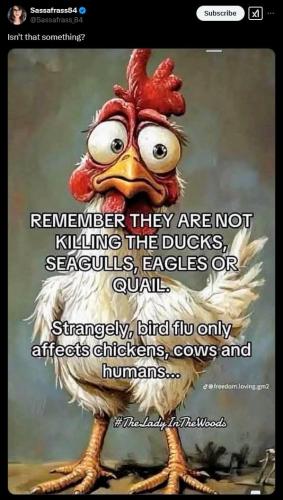 IMG_20250203_014720_815