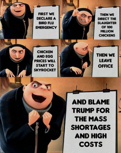 image_286A5EC4-A9A3-4E61-9140-95DBF29FBC46