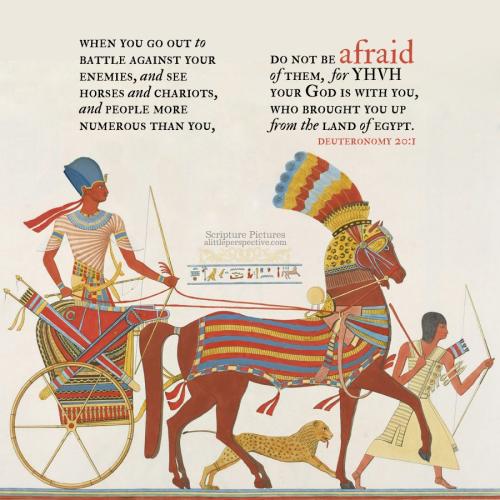 deu-20-1-JPS-unsplash