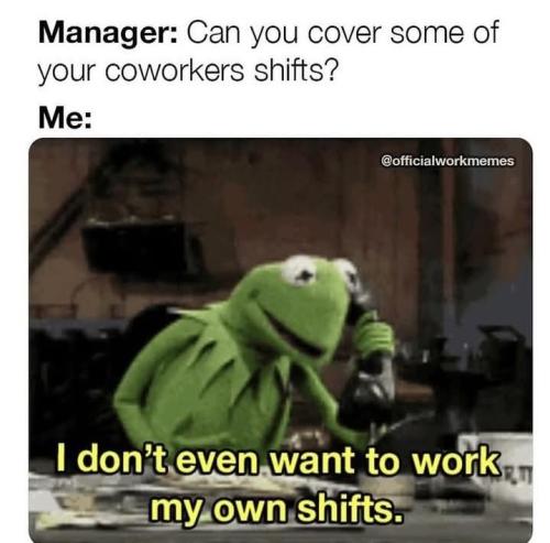 FB_IMG_1740421222831