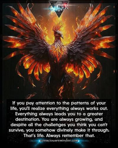 481079450_122176745372100664_6216511876542261869_n