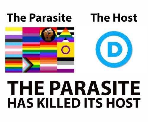 IMG_20250205_165032_249