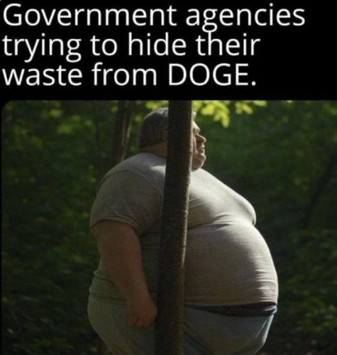 IMG_20250219_130057_746