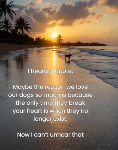 FB_IMG_1738760652590