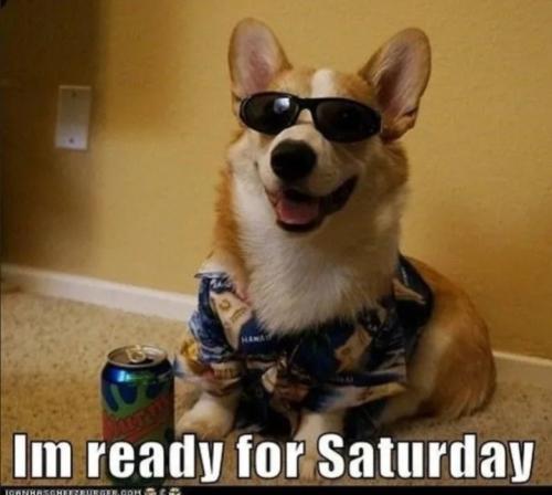 Screenshot_20250208_071337_Gallery