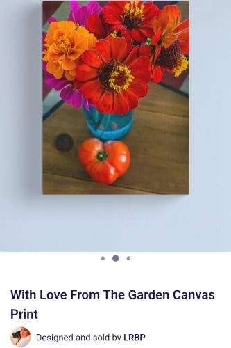 Screenshot_20250227_154823_Brave