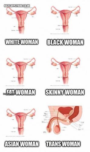 image_612DFDD4-AB77-44AC-9E0F-6539E3E86A95