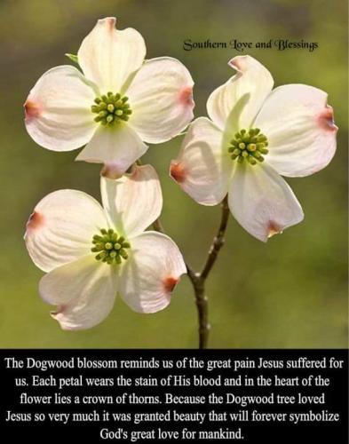 FB_IMG_1618692317973