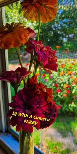 Screenshot_20250208_081617_Gallery