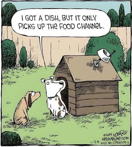 FB_IMG_1740420786502