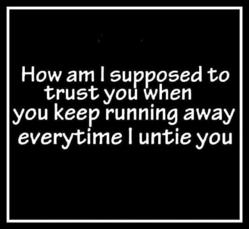 image_F4CF6F11-E060-41B1-BD18-B2C97DF9D233