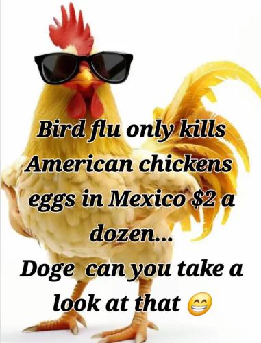 d21ac750-f0b5-4fa3-840f-61239eeb8a96