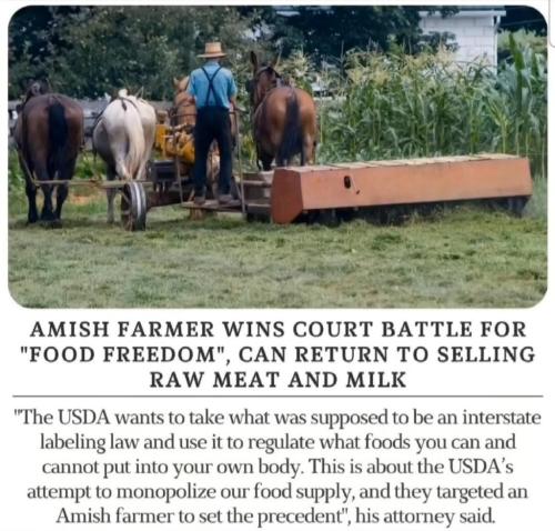 photo_2025-01-31_22-06-54