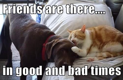 9db2d9cf76bdcb4cc1c001b6e772a722