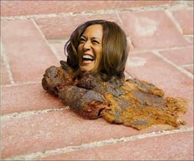 kamala harris643
