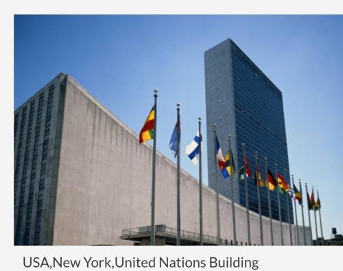 Screenshot_20250207-124235_Brave