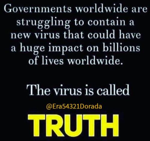 IMG_20250212_162542_138