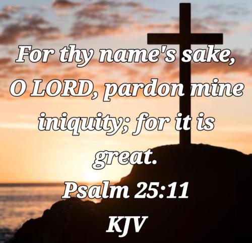 fc19d5ff-f7bc-4063-b18e-8f78fd03e7c2