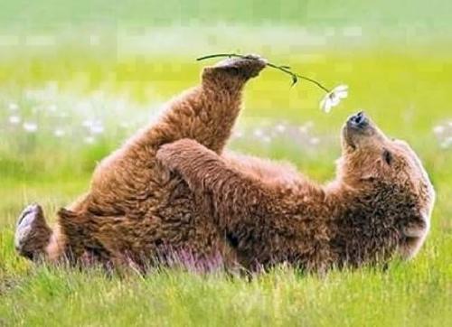 A81EDB6D-DDB8-4443-8CC3-1D2EBF826CA3