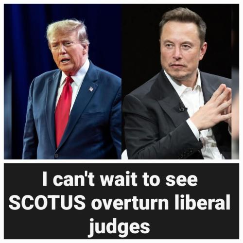 FB_IMG_1739045574568