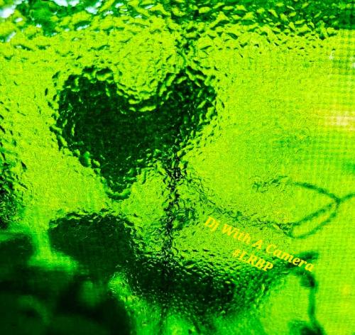 Screenshot_20250210_072222_Gallery