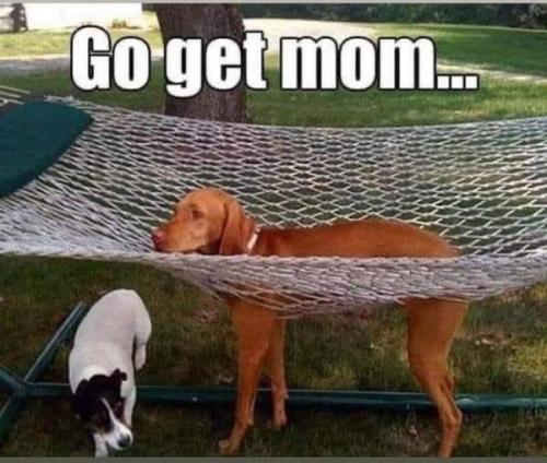 AC6418CD-116F-4641-8BAF-33C10B5C5EC5