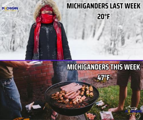 FB_IMG_1740418289080