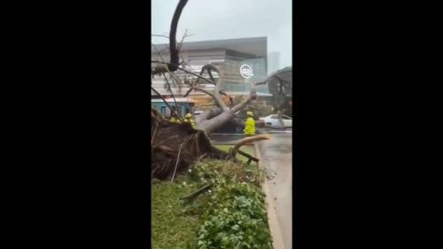 Git-5RUagAA6zBU