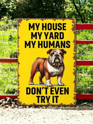 FB_IMG_1739699787146