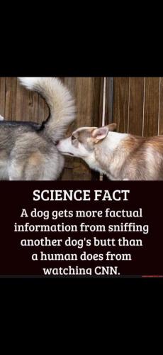 Screenshot_20250203_174609_Gallery