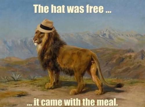 FB_IMG_1740004308985