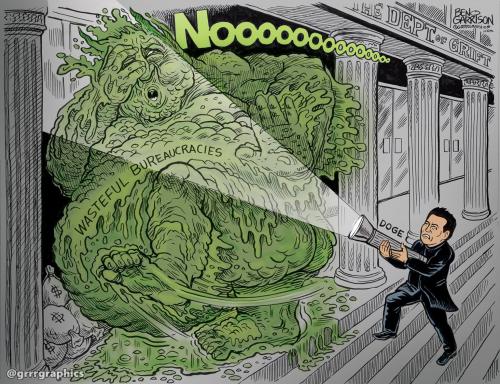 doge-musk-swamp_bureaucracy-1536x1180