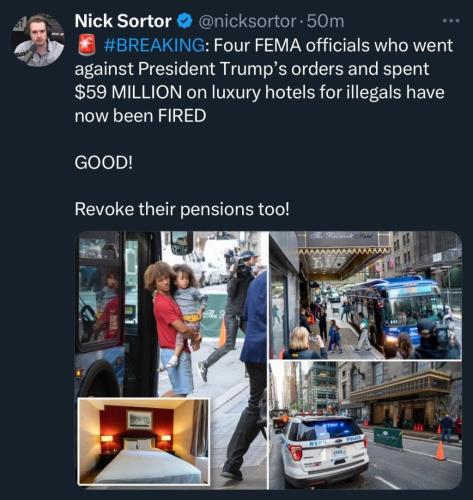 photo_2025-02-11_19-35-15