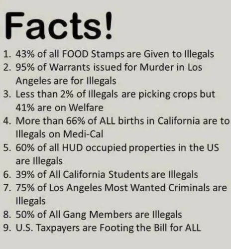 image_2025-02-23_131711172