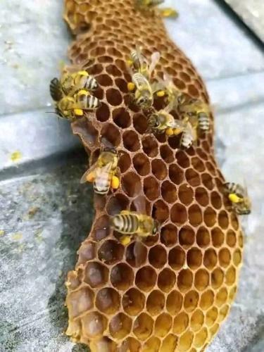 FB_IMG_1738592552073